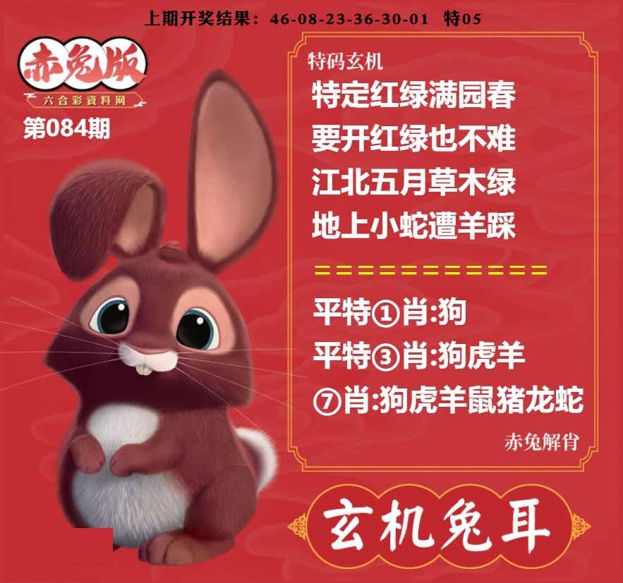 084期玄机兔耳[图]