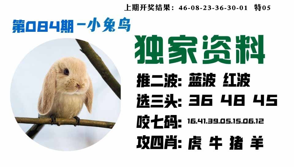 084期小兔鸟[图]